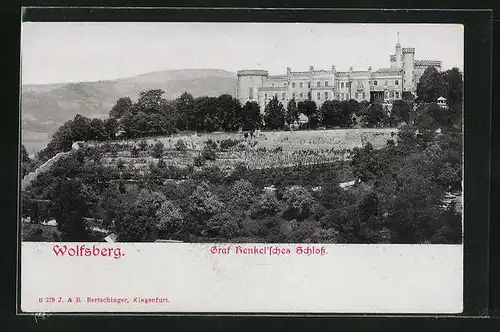 AK Wolfsberg, Graf Henkel`sches Schloss