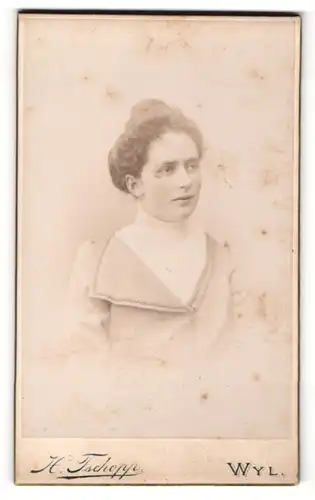 Fotografie H. Tschopp, Wyl, Portrait Dame mit Hochsteckfrisur