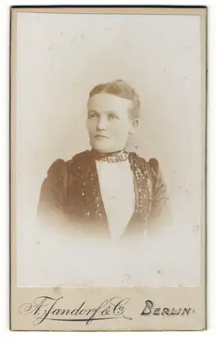 Fotografie A. Jandorf & Co, Berlin, Portrait wunderschöne Dame mit zurückgebundenem Haar in bestickter Bluse
