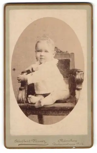 Fotografie Adalbert Werner, München, Baby auf Sessel sitzend