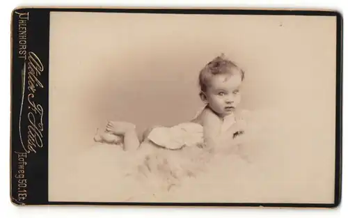 Fotografie Atelier F. Huss, Uhlenhorst, Portrait niedliches Kleinkind im weissen Hemd bäuchlings auf Fell liegend