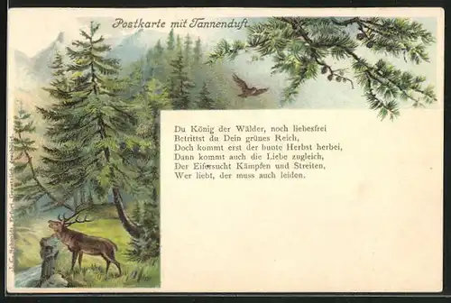 Duft-AK mit Tannenduft, Hirsch und Eule im Wald