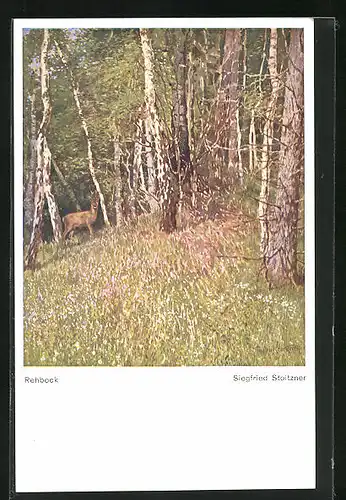 Künstler-AK Siegfried Stoitzner: Rehbock in Birkenwald mit blühendem Gras