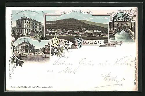 Lithographie Vöslau, Hotel Schweizerhof, Hochstrasse, Badequelle
