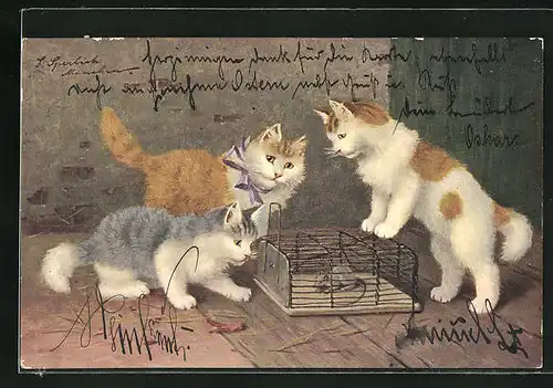 Künstler-AK Maus in der Falle und hungrige Katzen