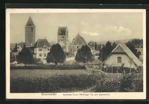 AK Dinkelsbühl, Salwarten-Turm, Nördlinger Tor und Stadtmühle