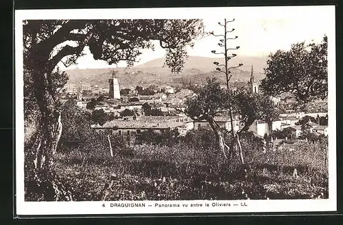 AK Draguignan, Panorama vu entre le Oliviers