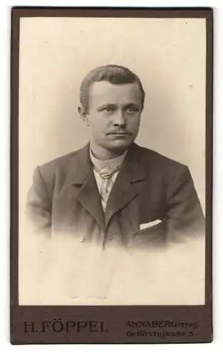 Fotografie H. Föppel, Annaberg i. E., Portrait junger hübscher Mann mit Krawatte