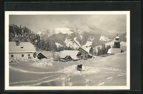 AK Krispl, Ortsansicht mit Hund im Schnee