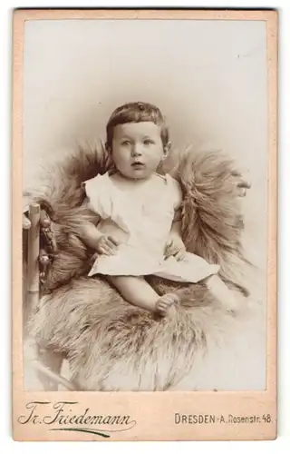 Fotografie Tr. Friedmann, Dresden-A., Portrait niedliches Kleinkind im weissen Hemd auf Fell sitzend