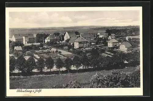 AK Oldenburg / Holstein, Blick vom berg auf den Ort