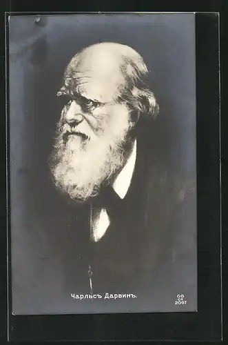 AK Naturforscher Charles Darwin, Halbportrait mit Bart