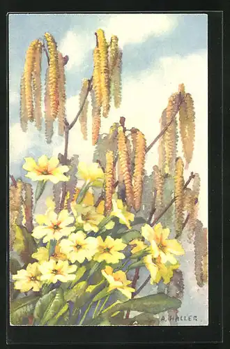 Künstler-AK Anna Haller: Blühende Haselnusszweige und gelbe Blumen