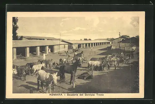 AK Asmara, Scuderie del Servizio Treno