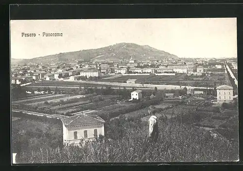 AK Pesaro, Panorama