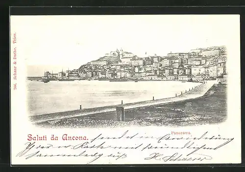 AK Ancona, Panorama