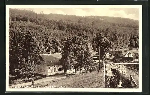 AK Bad Köstritz i. Th., Gasthaus Oelsdorfmühle mit Wald, Wasserrad