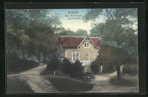 AK Gross-Sedlitz, Gasthaus Pechhütte mit Waldwegen