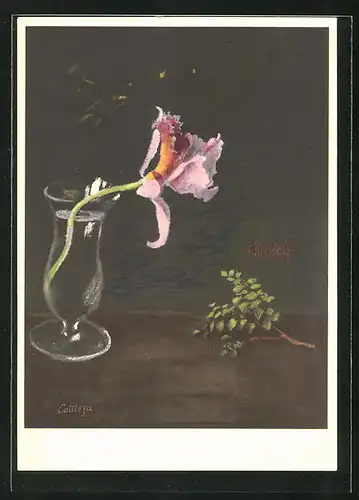 Künstler-AK Ernst Kreidolf: Orchidee in Wasserglas