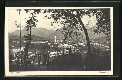 AK Belluno, Panoramablick vom Berg