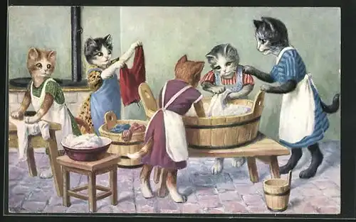 AK Haushaltsschule für Katzen, Grosse Wäsche, vermenschlichte Tiere