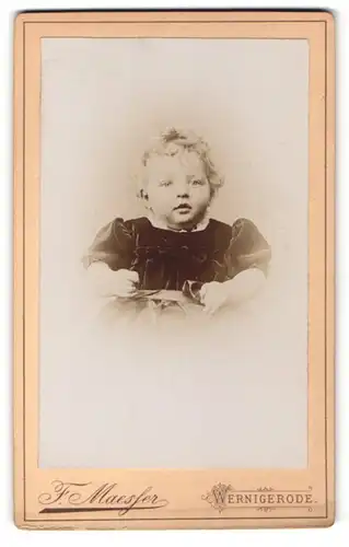 Fotografie F. Maesser, Wernigerode, Portrait kleiner Lockenschopf