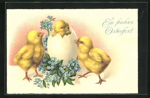 AK Osterküken betrachten neugierig das frisch geschlüpfte Küken, Ein frohes Osterfest