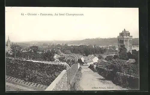 AK Oudon, Panorama, Au fond Champtoceaux