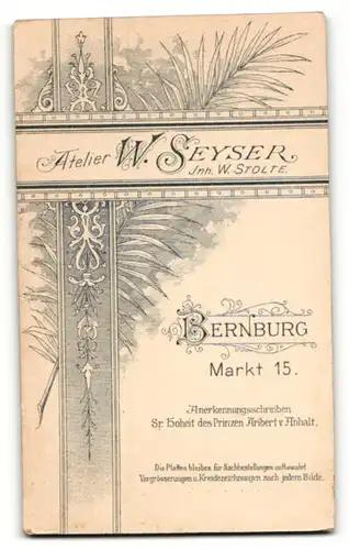 Fotografie W. Seyser, Bernburg, Portrait hübscher Bube mit Krawatte im Anzug