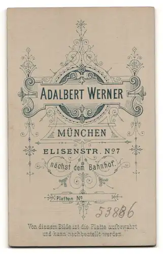 Fotografie Adalbert Werner, München, Portrait charmant blickender Herr mit Oberlippenbart und Fliege