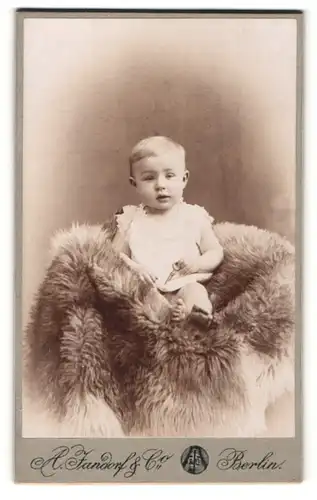 Fotografie A. Jandorf & Co., Berlin, Portrait Kleinkind in Leibchen