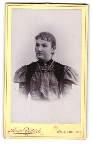 Fotografie Alwin Dietrich, Waldenburg, Portrait junge Dame mit Halskette im eleganten Kleid