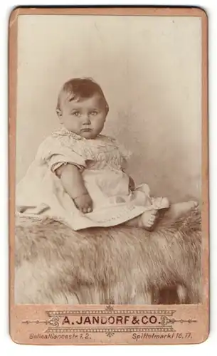 Fotografie A. Jandorf & Co., Berlin, Portrait niedliches Kleinkind im hübschen Kleid auf Fell sitzend