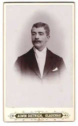 Fotografie Alwin Dietrich, Glauchau, Herr im eleganten Anzug