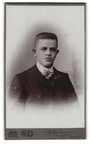 Fotografie Ph. Hofmann, Stollberg i. S., Portrait dunkelhaariger junger Mann mit Schleife am Kragen