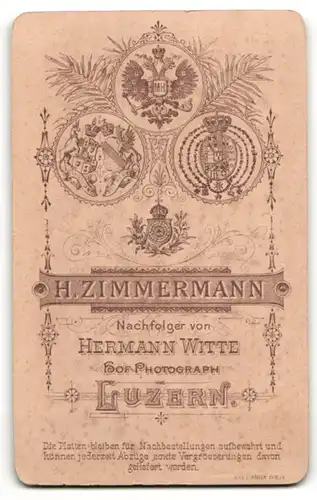 Fotografie H. Zimmermann, Luzern, Portrait charmanter Herr mit Krawatte im Anzug