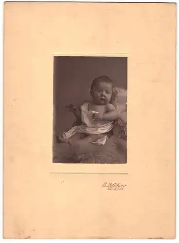 Fotografie E. Lohöfener, Bielefeld, Baby auf Felldecke sitzend