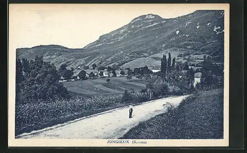 AK Jongieux, Blick von der Feldstrasse zum Ort