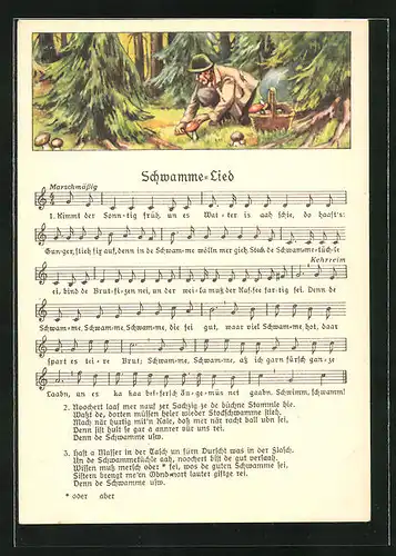 Lied-AK Anton Günther Nr. 8980: Pilzsammler im Wald, Text Schwamme-Lied