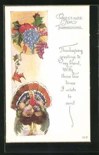 AK Greetings for Thanksgiving, Truthahn