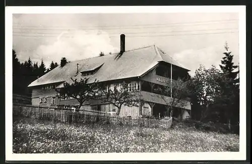 AK Falkau / Schwarzwald, Hotel Haus Gertrud