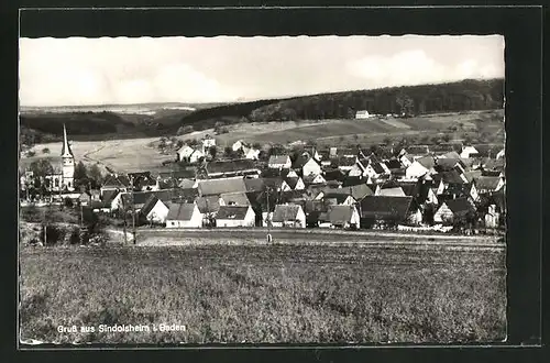 AK Sindolsheim i. Baden, Ortsansicht von Wiese aus mit Blick auf Kirche