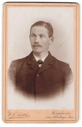 Fotografie W. J. Sattler, Forchheim, Portrait junger Mann in kariertem Anzug