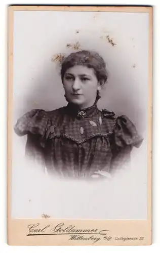 Fotografie Carl Goldammer, Wittenberg a / E., Portrait junge Dame mit zurückgebundenem Haar im modischen Kleid
