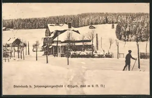 AK Steinbach i. Erzgeb., Ortsansicht mit Häusern unter Schneedecke, Skiläufer, Wald