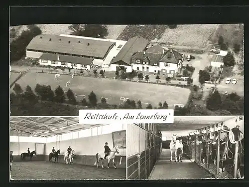 AK Budenheim / Rhein, Reitschule Am Lenneberg, Innenansichten Halle und Boxen