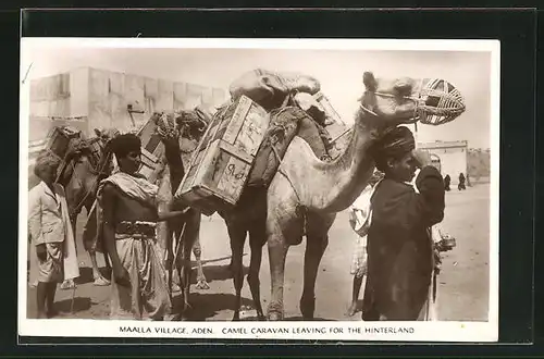 AK Aden, Maalla Village, Camel Caravan