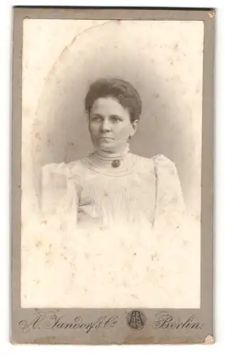 Fotografie A. Jandorf & Co., Berlin, Portrait Dame mit zusammengebundenem Haar