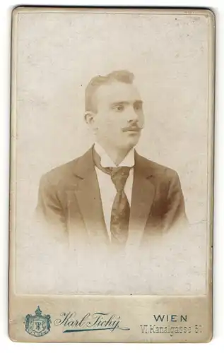 Fotografie Karl Tichy, Wien, Portrait junger Herr in Anzug mit Krawatte