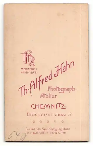 Fotografie Th. Alfred Hahn, Chemnitz, Portrait junger Herr mit Fliege u. Bürstenschnitt im Anzug